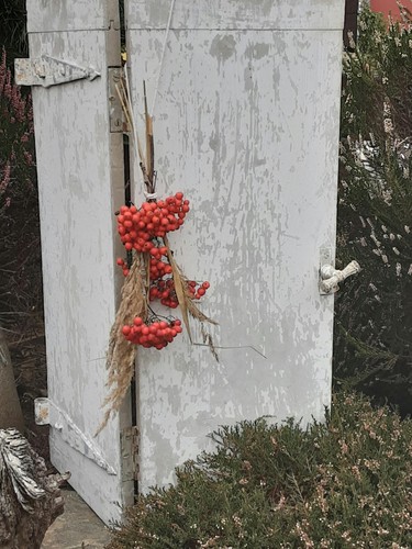 Antiker fensterladen flügel - antiker,
